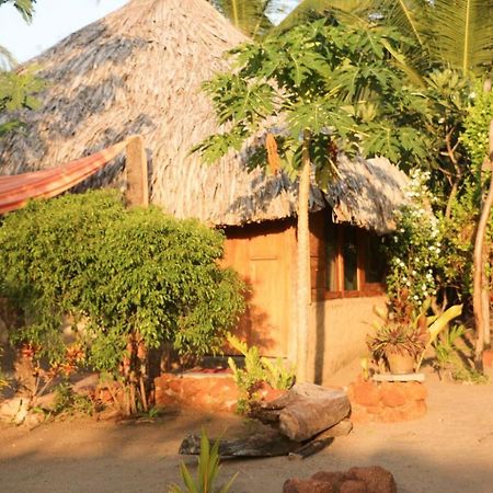 Monsoon Eco Resort - Whisky Point Arugambay ポットゥビル エクステリア 写真