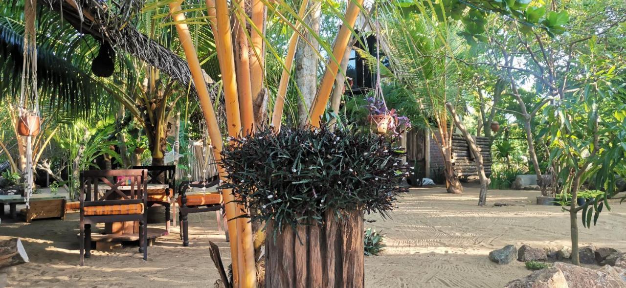 Monsoon Eco Resort - Whisky Point Arugambay ポットゥビル エクステリア 写真