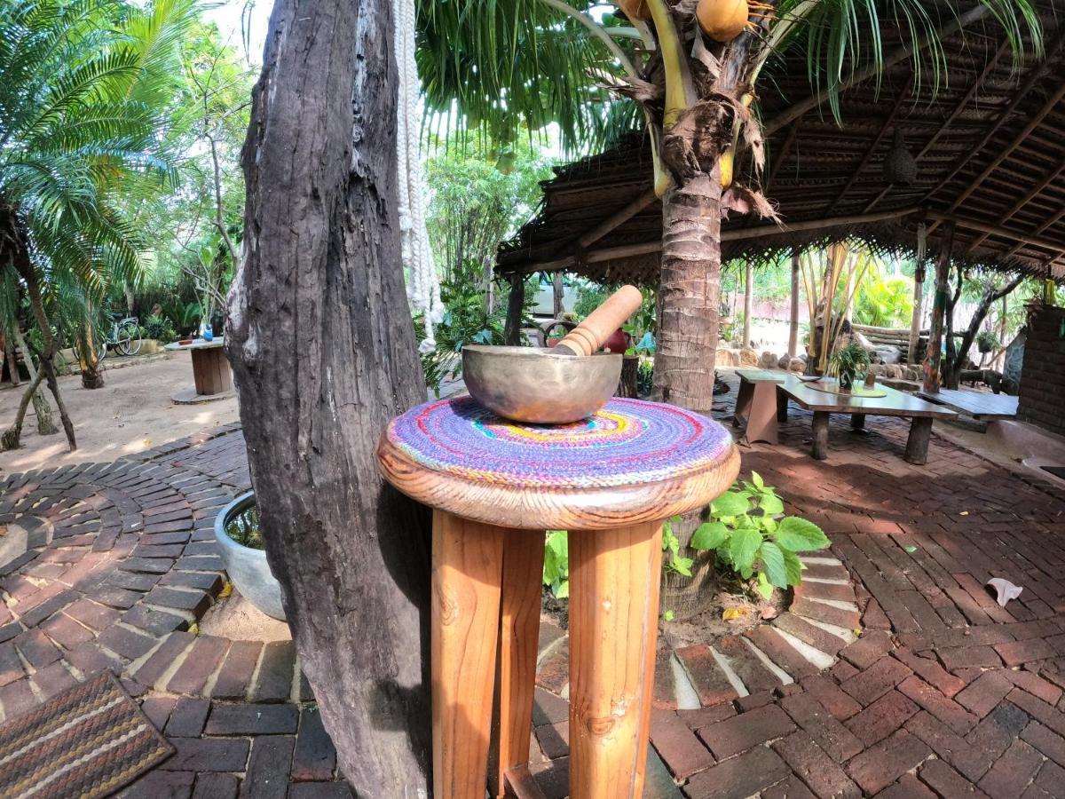 Monsoon Eco Resort - Whisky Point Arugambay ポットゥビル エクステリア 写真
