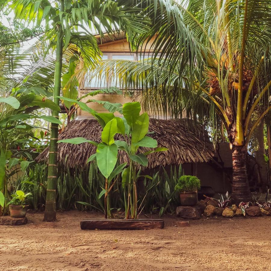 Monsoon Eco Resort - Whisky Point Arugambay ポットゥビル エクステリア 写真