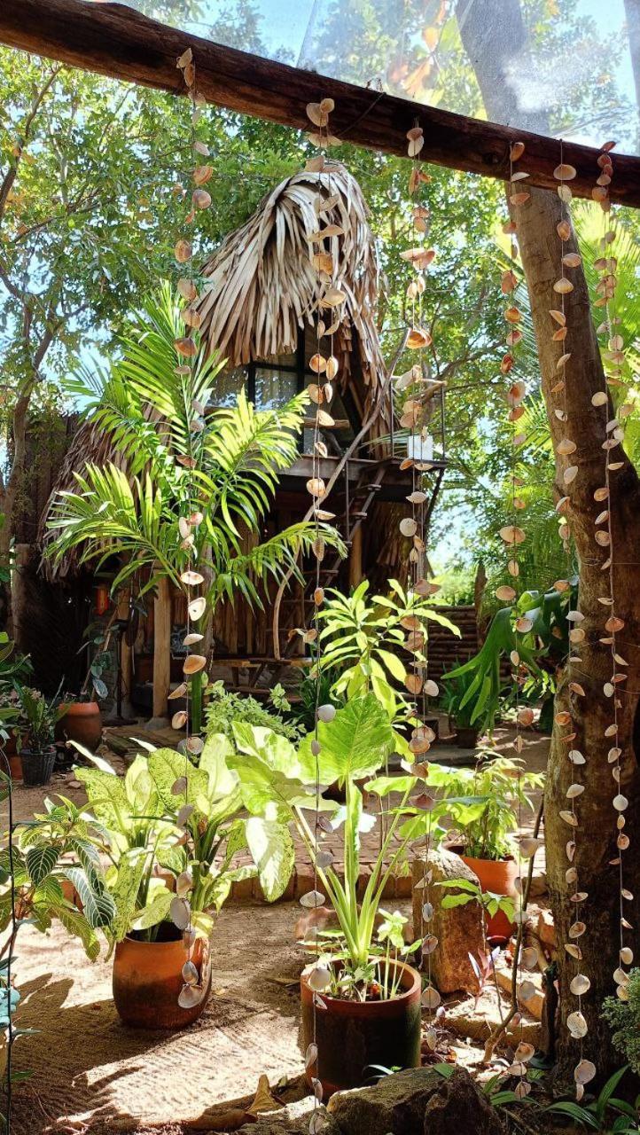 Monsoon Eco Resort - Whisky Point Arugambay ポットゥビル エクステリア 写真