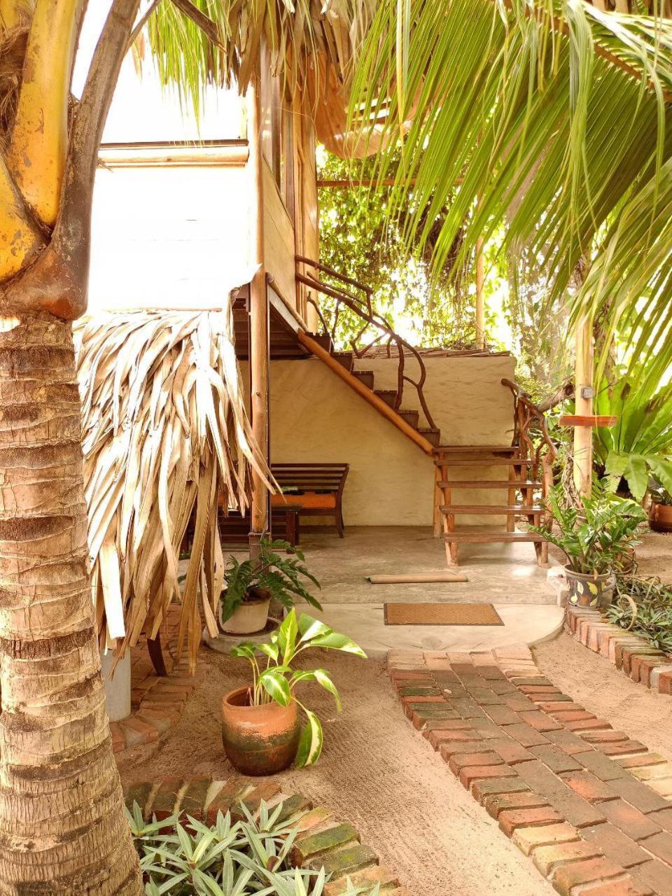 Monsoon Eco Resort - Whisky Point Arugambay ポットゥビル エクステリア 写真