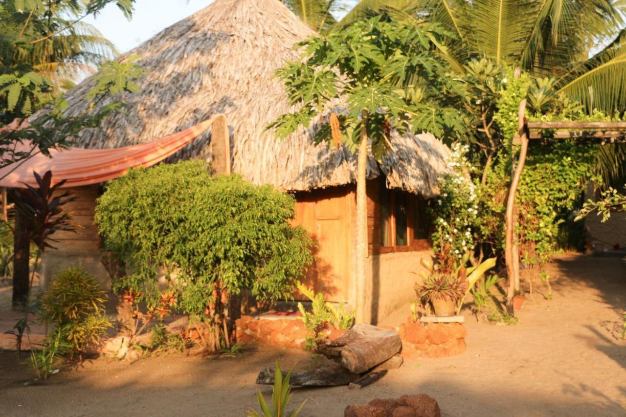 Monsoon Eco Resort - Whisky Point Arugambay ポットゥビル エクステリア 写真