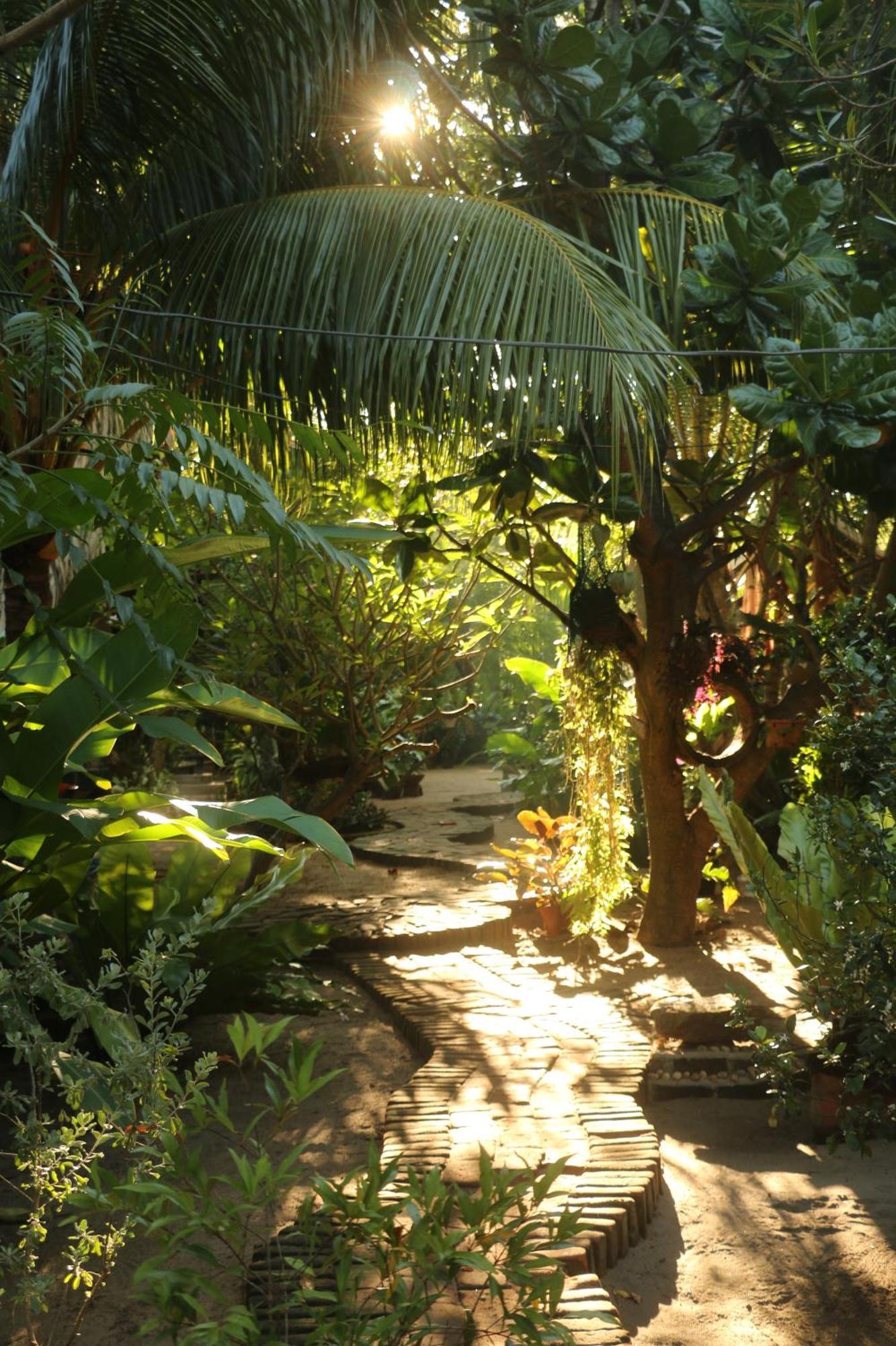 Monsoon Eco Resort - Whisky Point Arugambay ポットゥビル エクステリア 写真