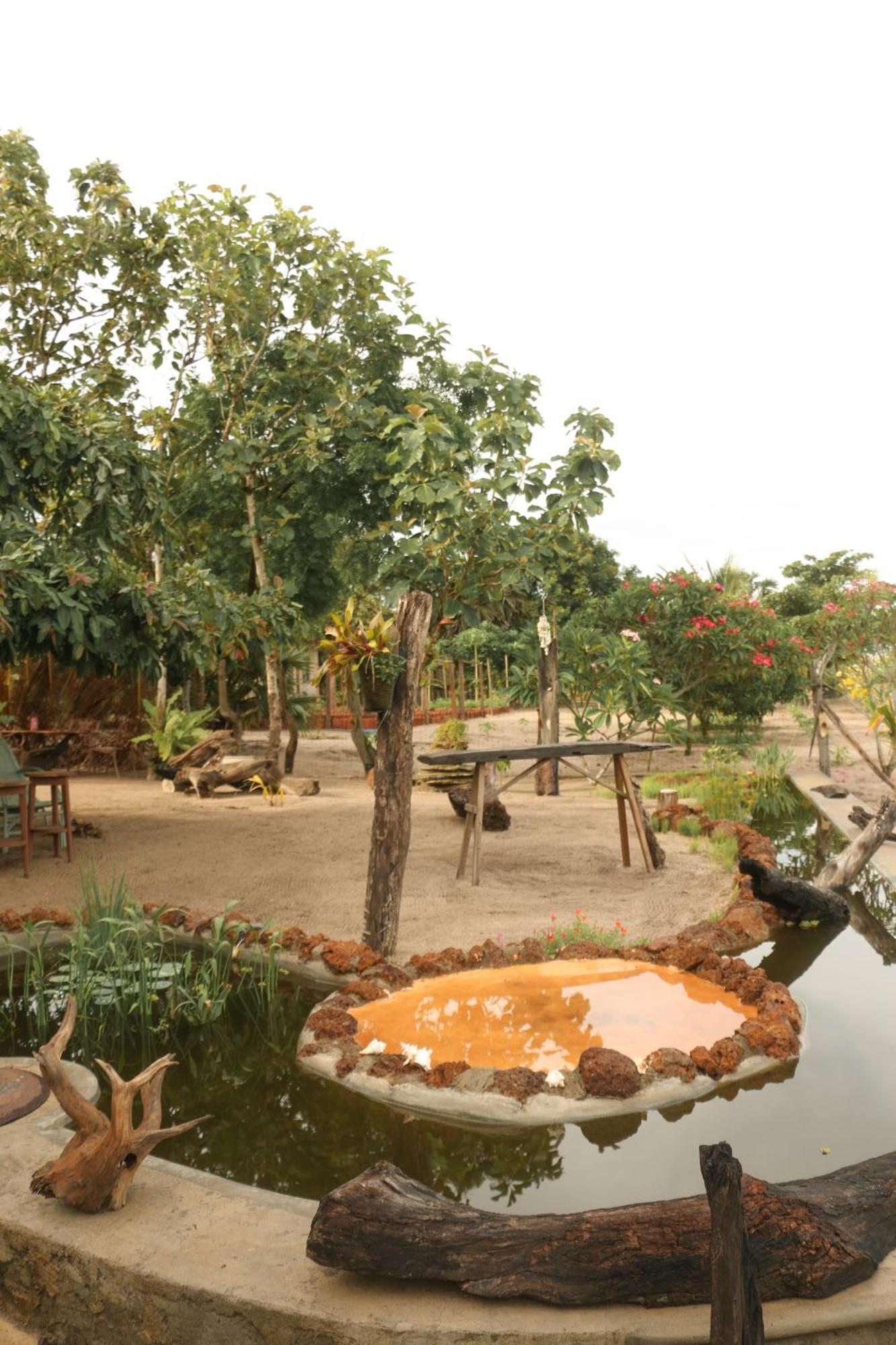 Monsoon Eco Resort - Whisky Point Arugambay ポットゥビル エクステリア 写真