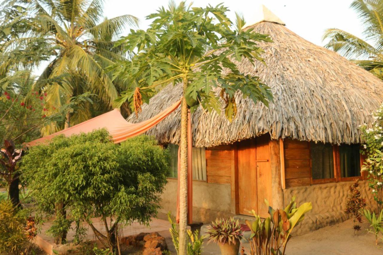 Monsoon Eco Resort - Whisky Point Arugambay ポットゥビル 部屋 写真